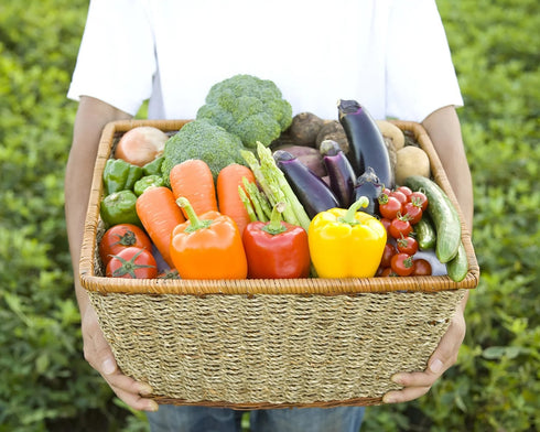 うるマルシェおまかせ農産物セット