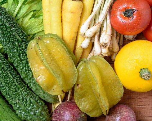 うるマルシェおまかせ農産物セット